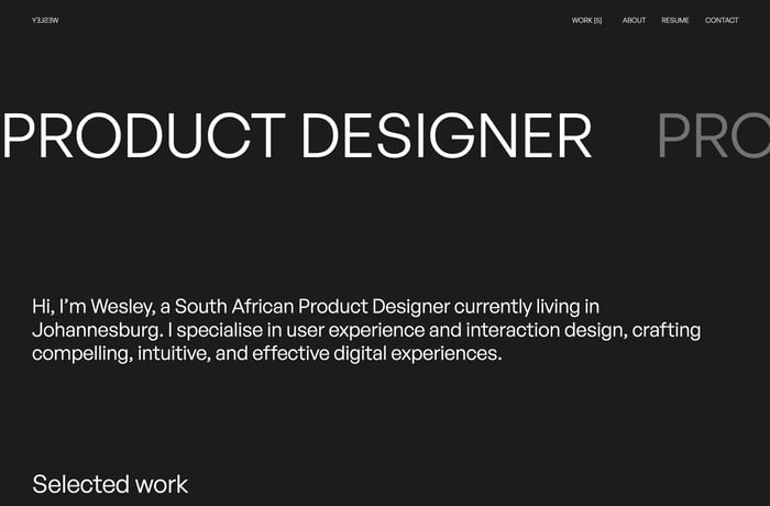 Wesley Naude website preview
