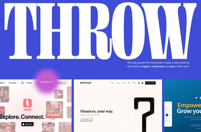 Throw website preview