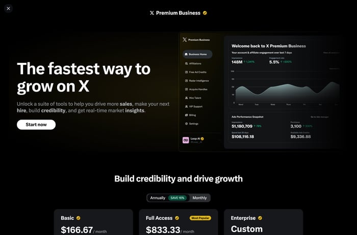 X Premium Business website preview