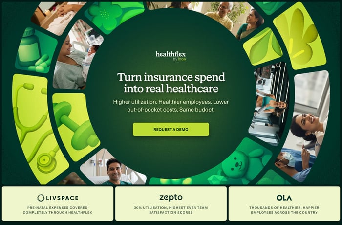 HealthFlex website preview