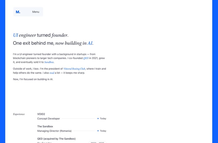 Marius Bălaj website preview