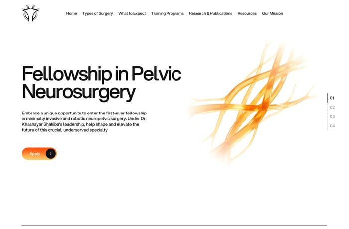 Neuropelvic Surgery website preview
