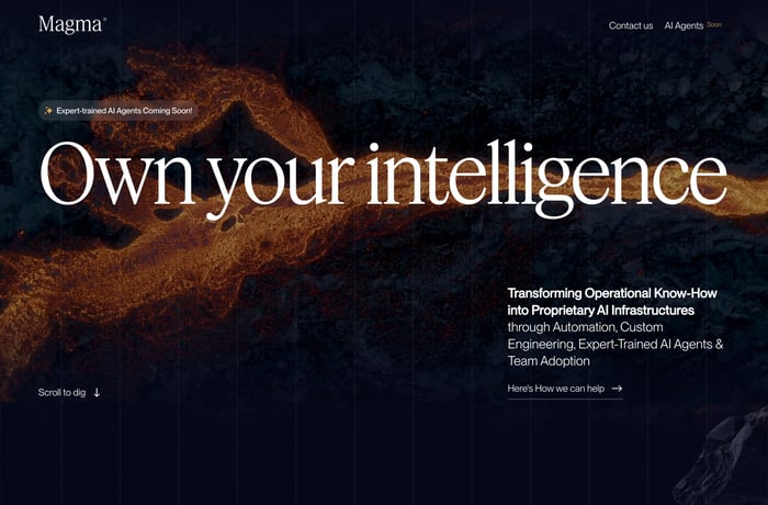 Magma website preview