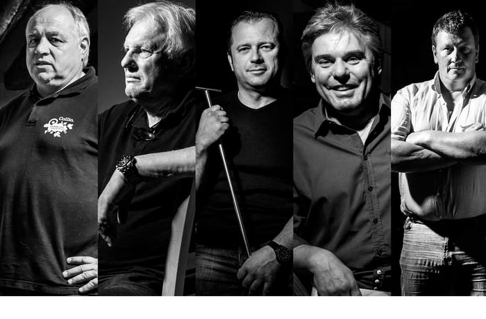 Collio Vitae website preview