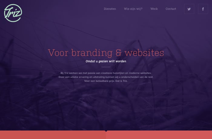 Triz website preview