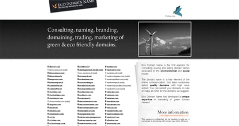 Eco Domain Name Thumbnail Preview