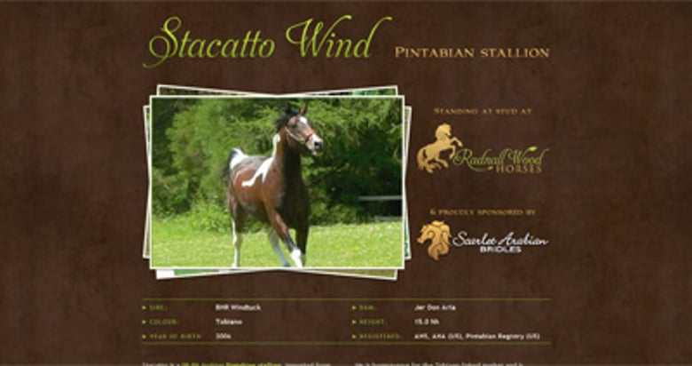 Stacatto Wind Thumbnail Preview