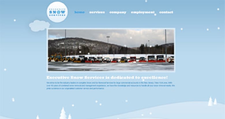 Executive Snow Services Thumbnail Preview