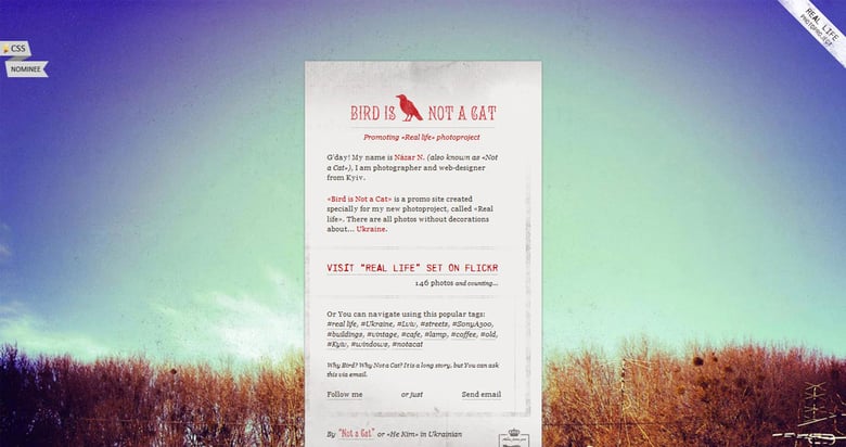 Bird is Not a Cat Thumbnail Preview