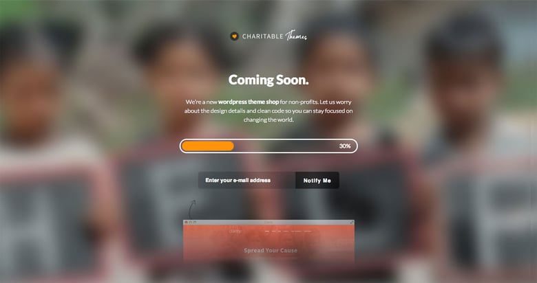 Charitable Themes Thumbnail Preview