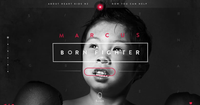 Heart Kids New Zealand Thumbnail Preview