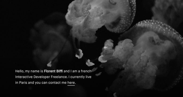 Florent Biffi Thumbnail Preview