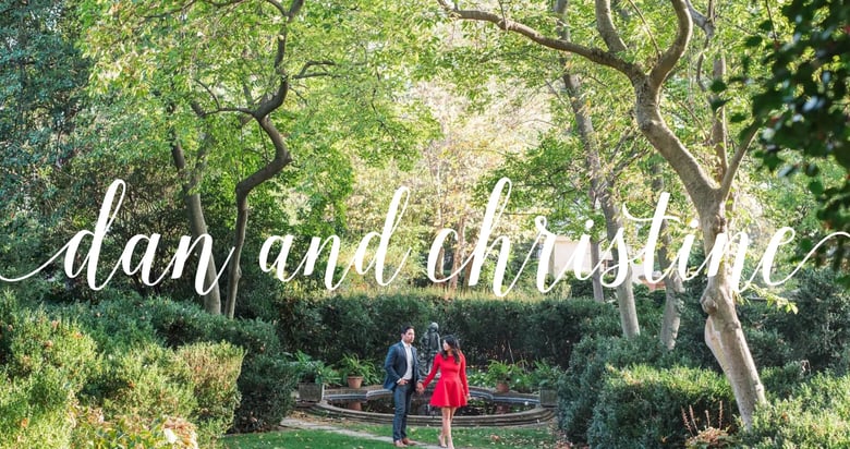 Dan + Christine Wedding Thumbnail Preview