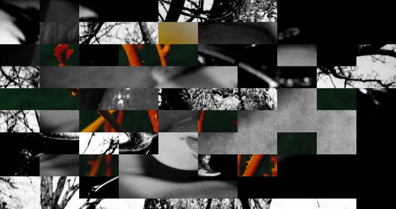 Kevin Beck Thumbnail Preview