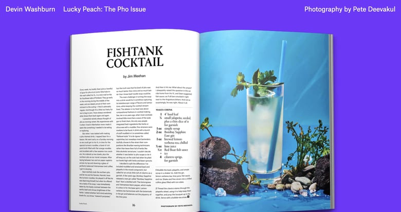 Devin Washburn Thumbnail Preview