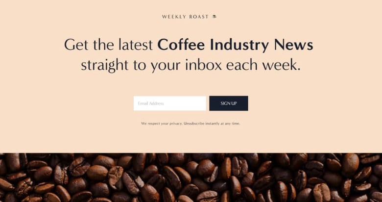 How to create a Newsletter Landing Page using Squarespace and start building your list