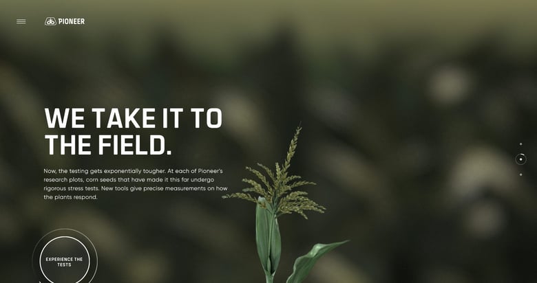 Pioneer Thumbnail Preview