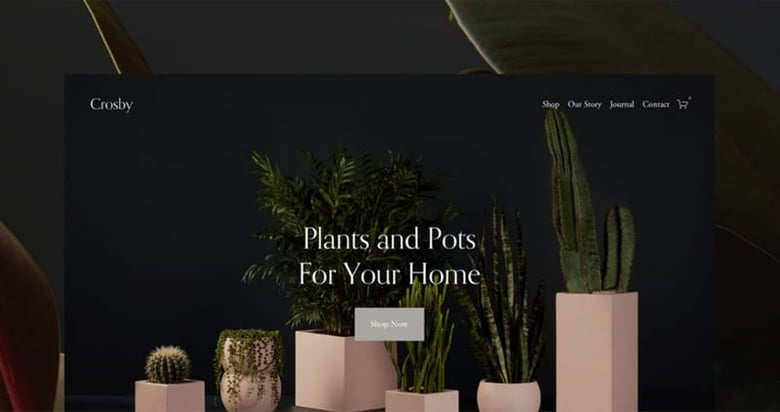 The Top Squarespace 7.1 Templates to get started online
