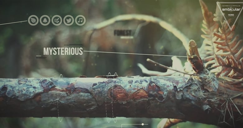 Ambicular Thumbnail Preview