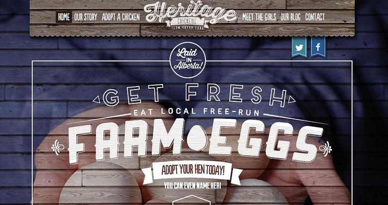 Heritage Chickens Thumbnail Preview