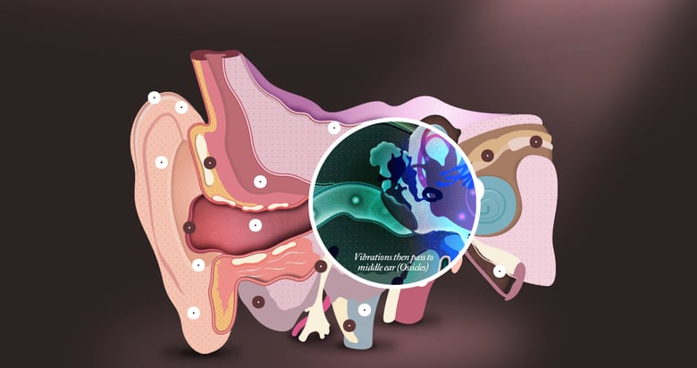 The Interactive Ear Thumbnail Preview