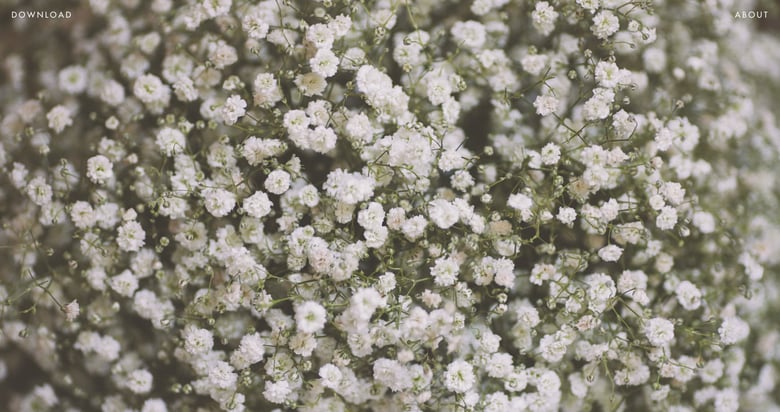 The Desktop Collection Thumbnail Preview