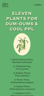 Eleven Plants for Dum-Dums & Cool Ppl Mobile Preview
