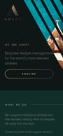 The Adept Group Mobile Preview